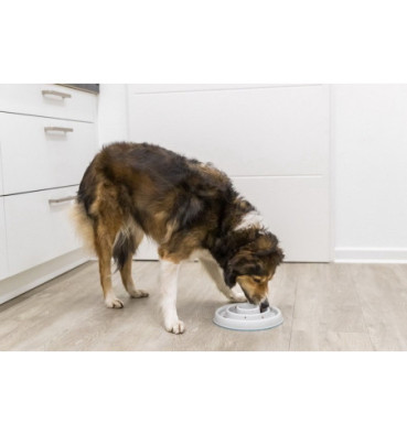 Miska zwalniająca Slow Feeding 0,45l