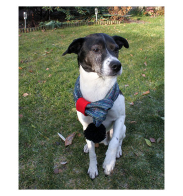 Szalik dla psa roz. M