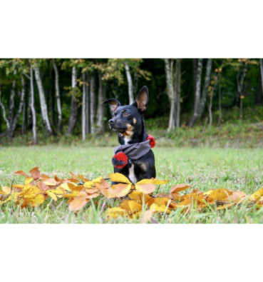 Szalik dla psa roz. M