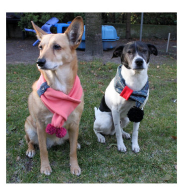 Szalik dla psa roz.XL