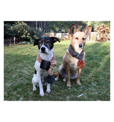 Szalik dla psa roz.XL