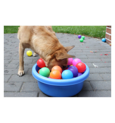 Basen węchowy dla psa M