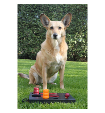 Gra Trixie Mini Mover