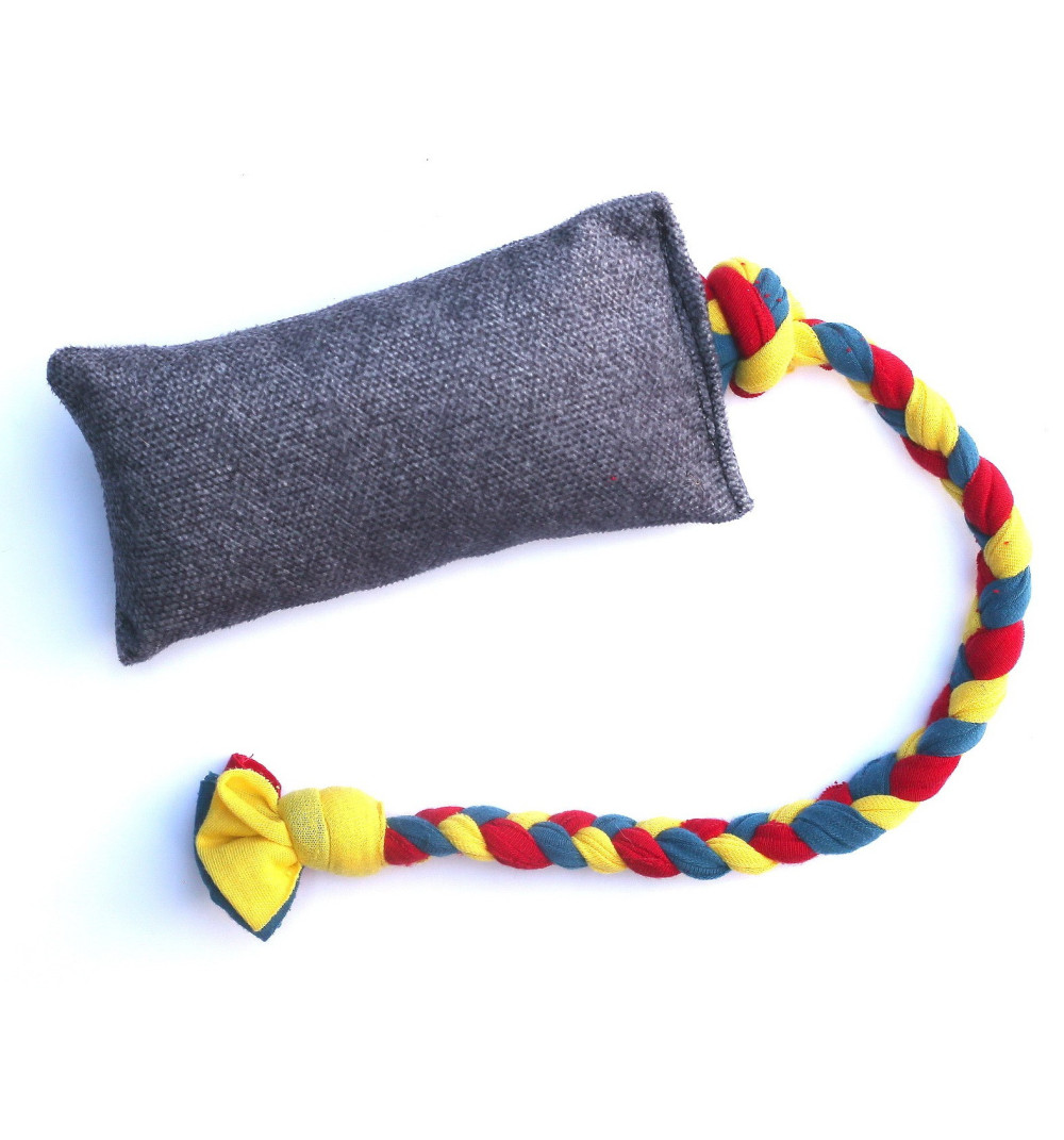 Szarpak szeleszczący