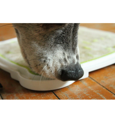 Taca na przysmaki Lick'n Snack