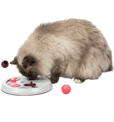 Gra Strategiczna CAT ACTIVITY Flip Board
