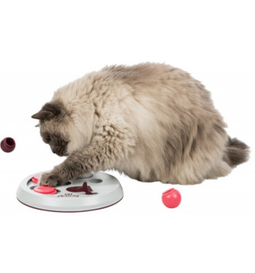 Gra Strategiczna CAT ACTIVITY Flip Board