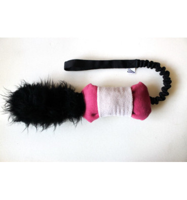 Uciekający Wiewiór