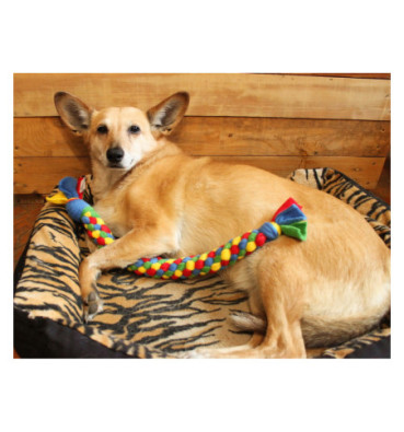 Szarpak Pleciony 0,5m