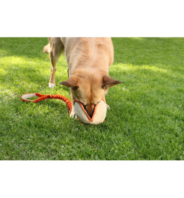 Rosiczka na amortyzatorze