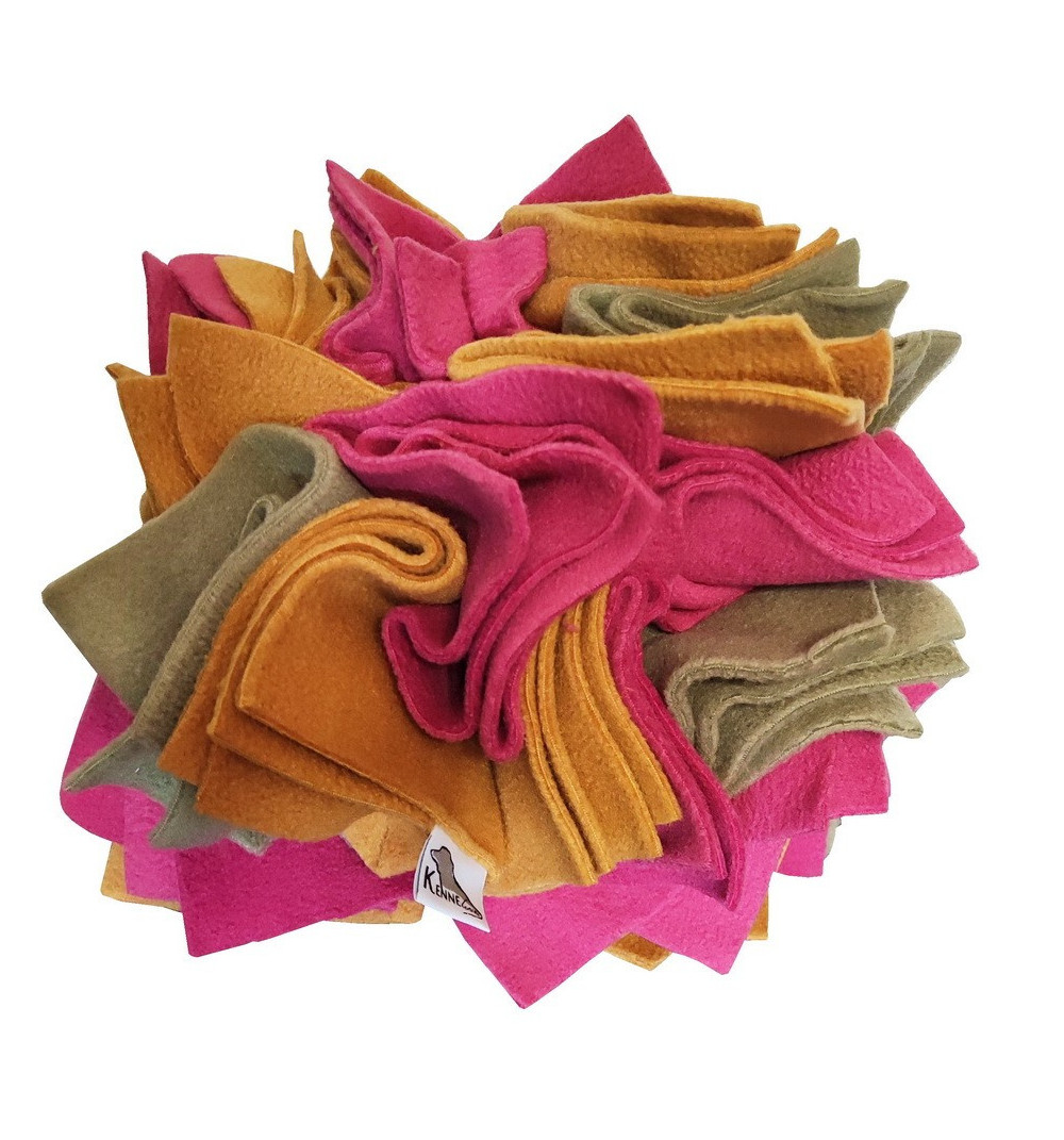 Gwiazda Węchowa S, 20 cm