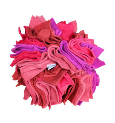 Gwiazda Węchowa S, 20 cm