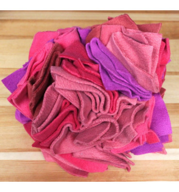 Gwiazda Węchowa S, 20 cm