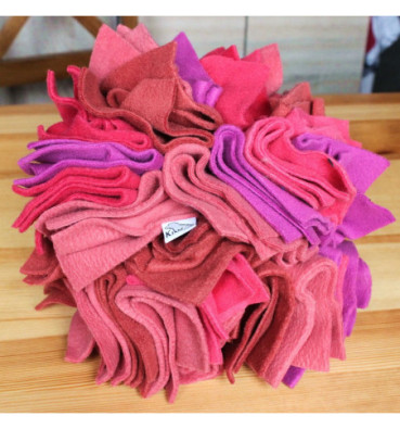 Gwiazda Węchowa S, 20 cm