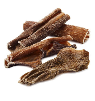 Gryzaki zestaw XS-XXL