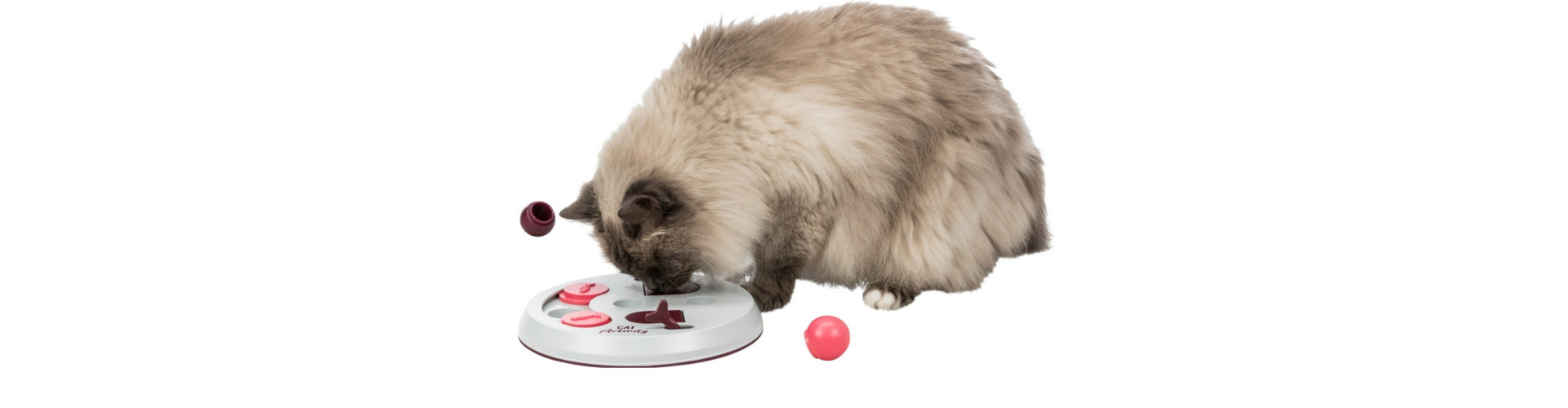 Zabawki dla kota | Sklep KenneLove